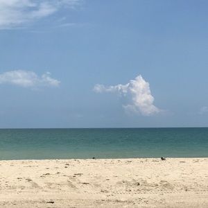 Meet your Posher, Clara